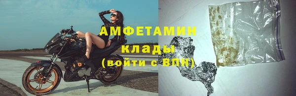 PSILOCYBIN Мамадыш
