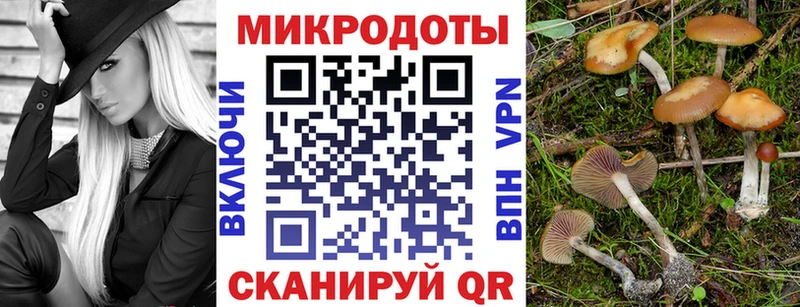 продажа наркотиков  hydra вход  Галлюциногенные грибы GOLDEN TEACHER  Снежногорск 
